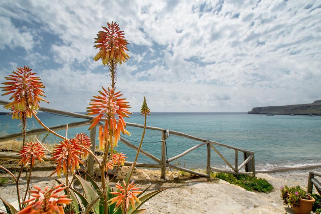 Coral Front Beach Káto Zákros Δωμάτιο φωτογραφία