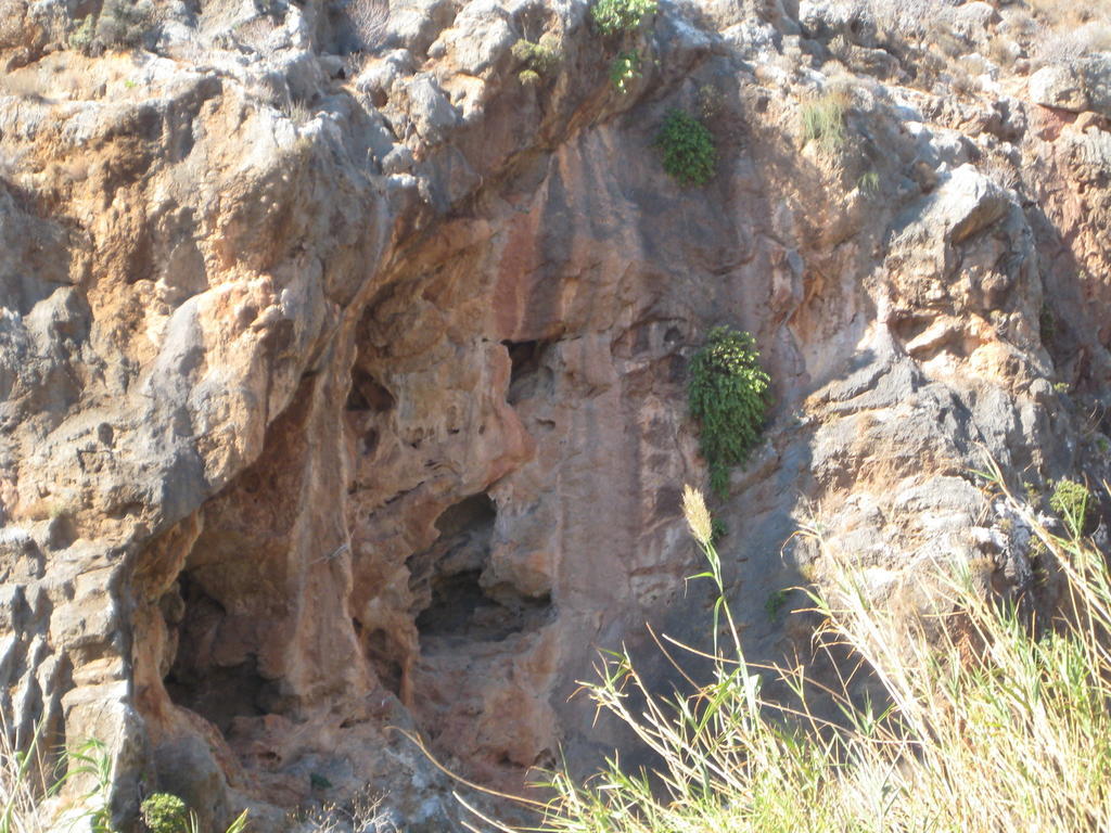 Coral Front Beach Ξενοδοχείο Káto Zákros Εξωτερικό φωτογραφία